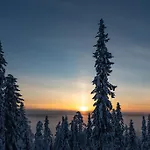 Naekoealahuoneisto Ketunpolku Holiday home Syote