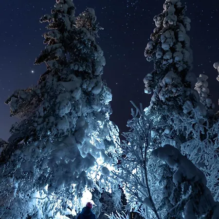 Semesterbostad Naekoealahuoneisto Ketunpolku *
